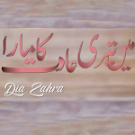 Main Teri Adat Ka Mara By: Dia Zahra Urdu Novel Offline PDF Download