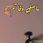 Hasil e Wafa Tum Ho By Neelam Riasat Urdu Novel Offline PDF Download