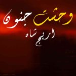 Wehshat Junoon By: Areej Shah Urdu Novel Offline PDF Download