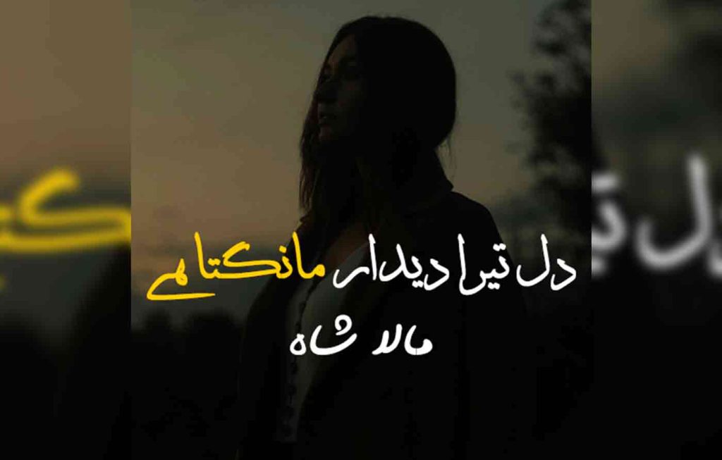 Dil Tera Deedar Mangta Hai By: Mala Shah Urdu Novel Offline PDF Download