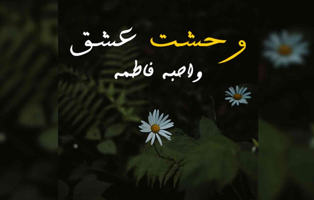 Wehshat E Ishq Season 2 By: Wahiba Fatima Urdu Novel Offline PDF Download