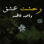 Wehshat E Ishq Season 2 By: Wahiba Fatima Urdu Novel Offline PDF Download